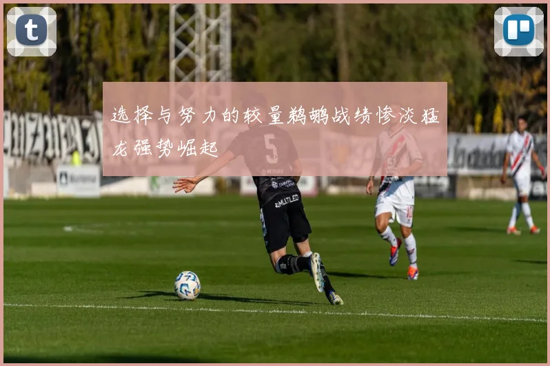 选择与努力的较量鹈鹕战绩惨淡猛龙强势崛起