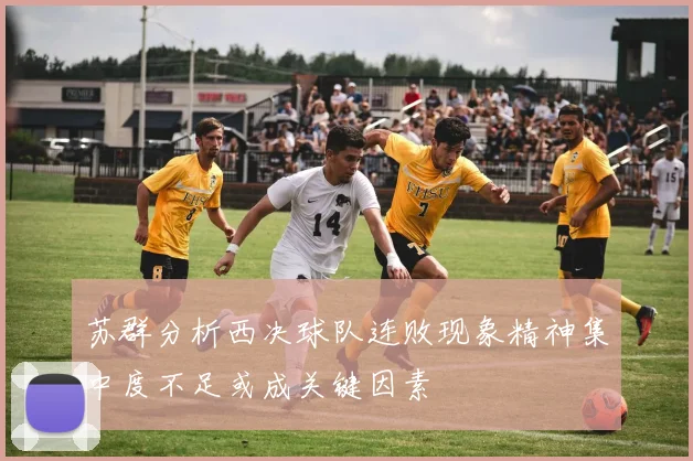 苏群分析西决球队连败现象精神集中度不足或成关键因素